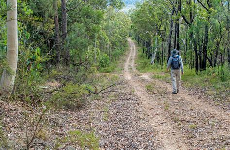 Kangaroo River Walking Track Nsw Holidays And Accommodation Things To
