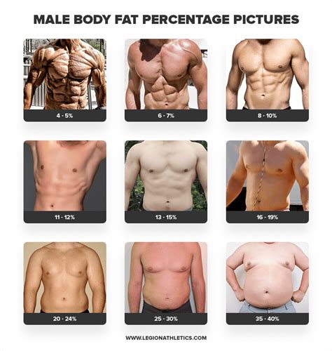 How To Calculate Your Body Fat Percentage Easily And Accurately With A Calculator Laptrinhx News