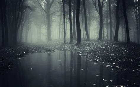 Creepy Forest Wallpaper