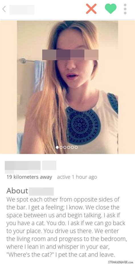 15 funny tinder profiles you will fall in love with