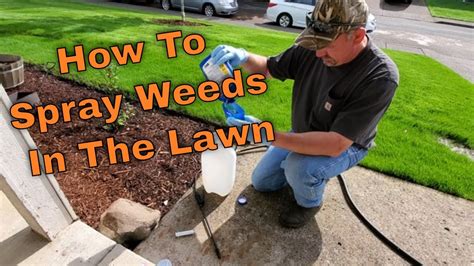 How To Spray Weeds In The Lawn Youtube
