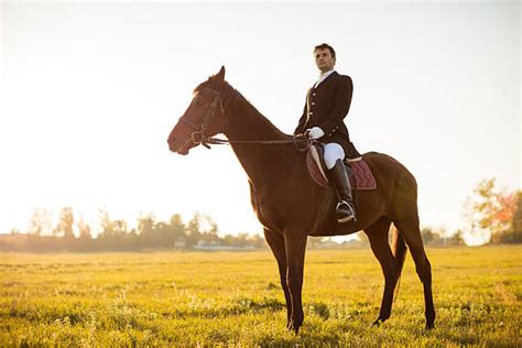 Man Riding Horse Stock Photos Pictures And Royalty Free Images Istock