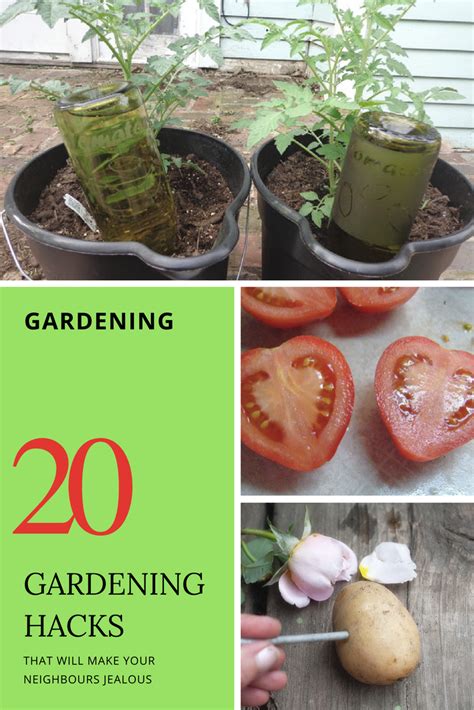 20 gardening hacks that will make your neighbours jealous gardening tips backyard garden diy