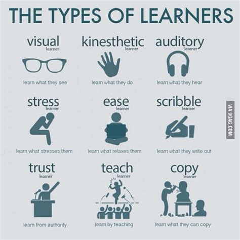 Pin By Arshaa Blogs On Teachingclassroomparenting Types Of Learners