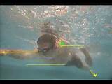 Images of Swim Training Underwater Camera