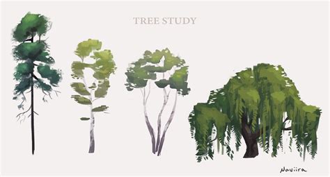 Tree Study Tree Study Environment Concept Art Tree Illustration
