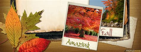 Amazing Fall Facebook Cover Autumn Pictures For Facebook Beautiful