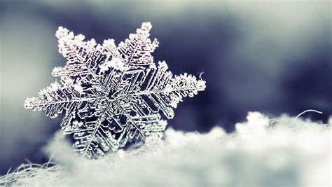 Snowflakes Wallpapers Free Download Beautiful Winter Snowflakes Hd