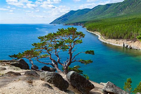 Lake Baikal Summer Stock Photos Pictures And Royalty Free Images Istock