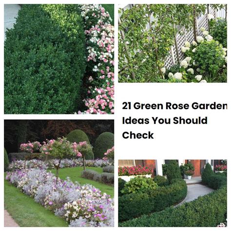 21 Green Rose Garden Ideas You Should Check Sharonsable