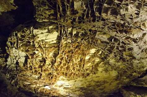 Wind Cave National Park Travel Guide Expert Picks For Your Vacation