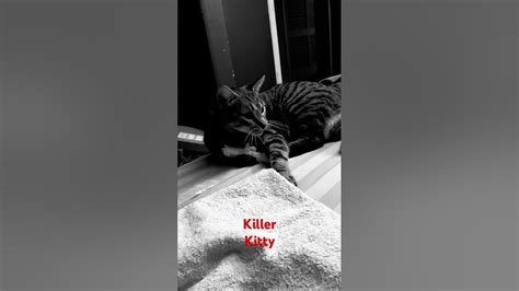 Killer Kitty Youtube