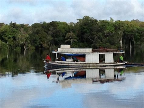 Ensuring environmental protection will improve the quality of growth. Environmental Issues 2019 - 12 Matching Articles | Popular ...