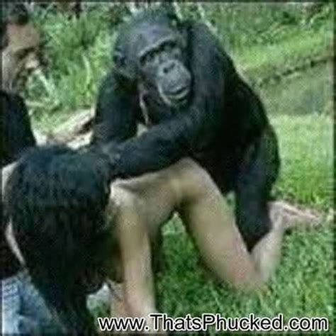Women Having Sex With Chimps Pictures Sexy New Photos Website Comments