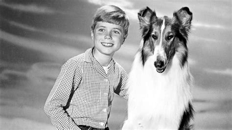 Heres What Happened To Lassie And Co Star Jon Provost