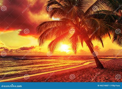 Barbados Stock Image Image Of Beauty Idyllic Caribbean 46274087