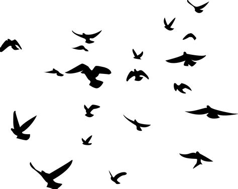 Bird Silhouette Wallpaper