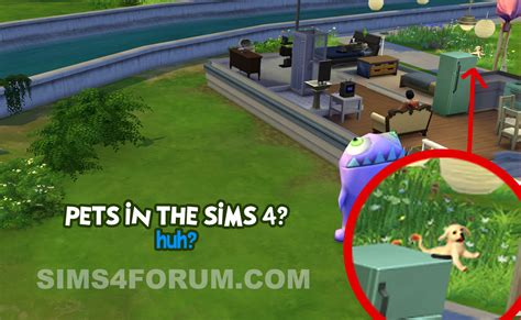 The sims 4 studio released a new mod to make pets playable in the sims 4. Pets in the Sims 4 Base Game!!? Or Removed from Alpha ...