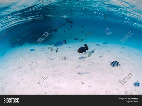 Tropical Blue Ocean Image And Photo Free Trial Bigstock