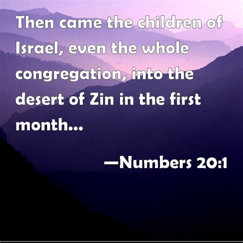 Numbers 201 Then Came The Children Of Israel Even The Whole