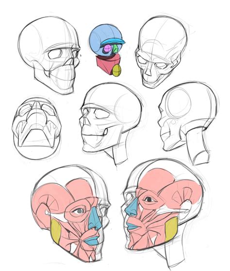Artstation Drawing Tips Tb Choi Figure Drawing Tutorial Male