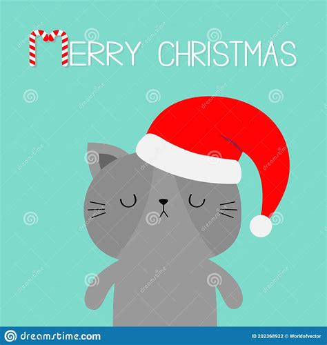 Merry Christmas Cute Cat In Red Santa Claus Hat Cartoon Character