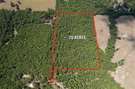 Sid Love Rd, Lufkin, TX 75901 | Land.com