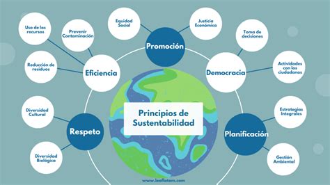 Características Del Desarrollo Sustentable 2023 Leaf