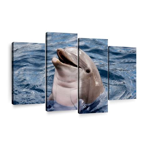 Cheerful Dolphin Wall Art Photography