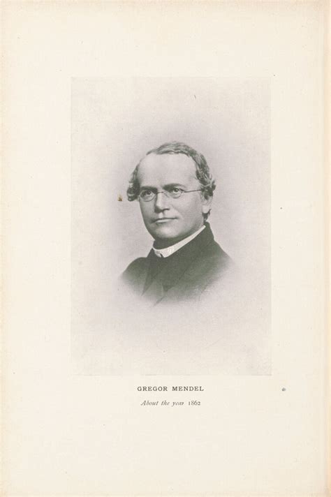 Gregor Mendel 1862 Illustration To Biographical Note About Mendel In