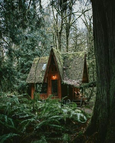 forest core forest cabin cottage forest forest cottage aesthetic cottage in woods cabin in