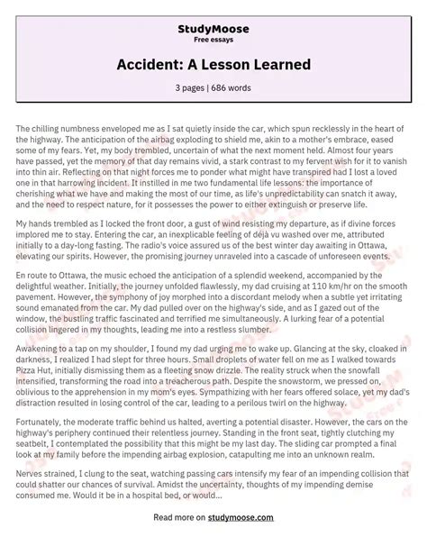 Accident A Lesson Learned Free Essay Example