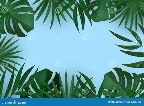 Natural Realistic Green Palm Leaf Tropical Background Vector