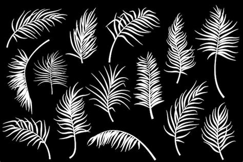 Premium Vector Palm Leaves Collection Isolated Vector Illustration