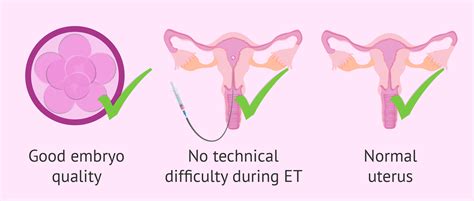 Signs Of Embryo Implantation Failure