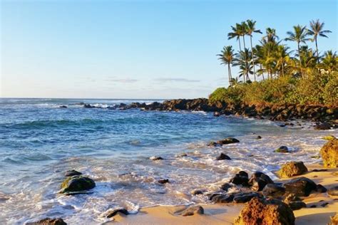5 Best North Shore Oahu Beaches That Are Perfect For Turtles Snorkeling Surfing Swimming 🌴