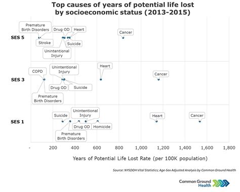 Top Causes Of Years Of Potential Life Lost By Socioeconomic Status