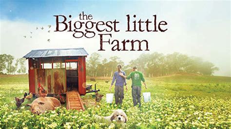 It would have been so easy to make the film about us, said john. 'The Biggest Little Farm' documentary demonstrates need ...