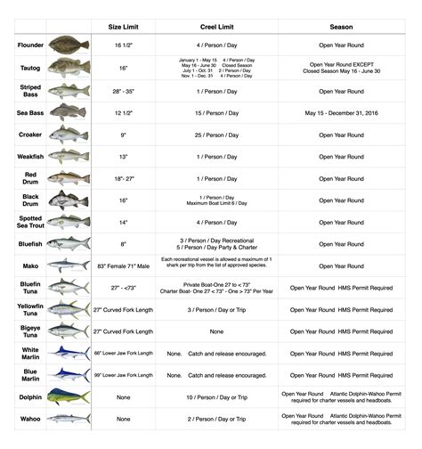 Sea Fishing Size Limits Charts