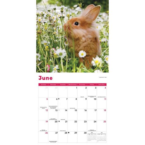 Currency Holiday Calendar 2022 Calendar Printables Free Blank