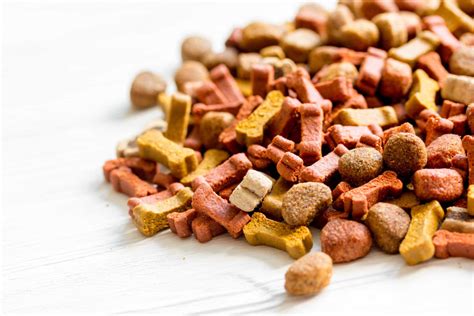 Whats In Pet Food