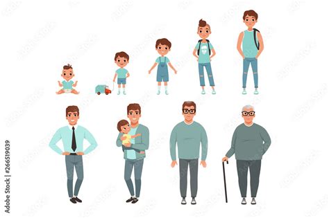 Life Cycles Of Man Stages Of Growing Up From Baby To Man Vector