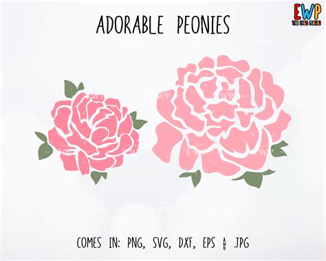 Peonies SVG Peony CutFile For Cricut Silhouette Etsy