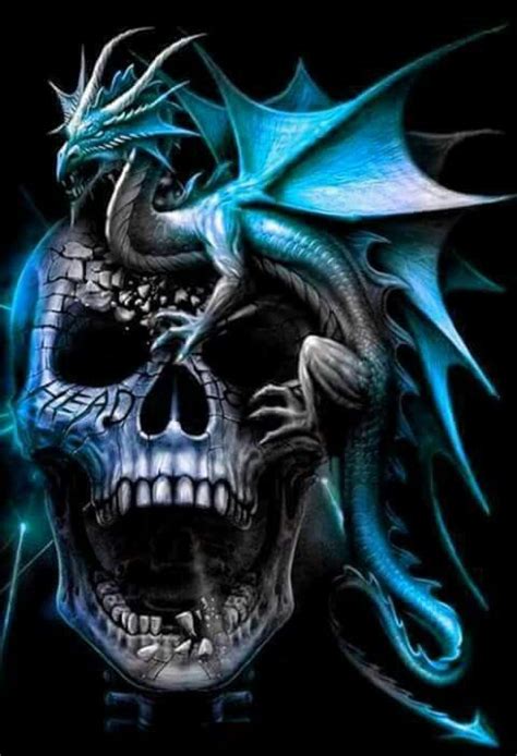 Pin By Bronwyn Ogorman On Dragons Dragon Artwork Skull Art Dragon