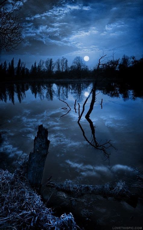 Under The Moonlight Photography Blue Sky Night Water Clouds Trees Cool