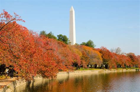 30 Best Things To Do In Dc This September Secret Dc