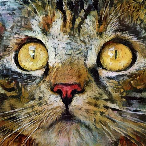 Lizzy The Brown Tabby Cat Digital Art By Peggy Collins Fine Art America
