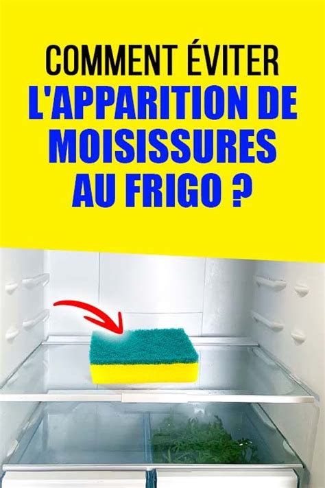 Pourquoi Faut Il Laisser Une éponge à Vaisselle Au Réfrigérateur Toute La Nuit