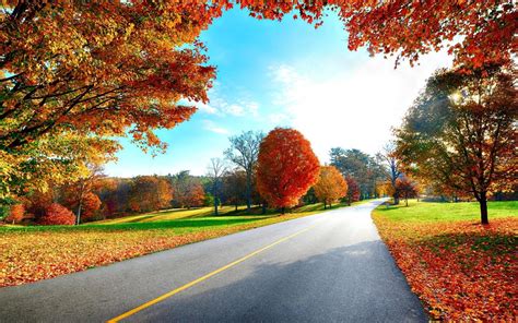 Hd Landscapes Nature Trees Autumn Background Pictures