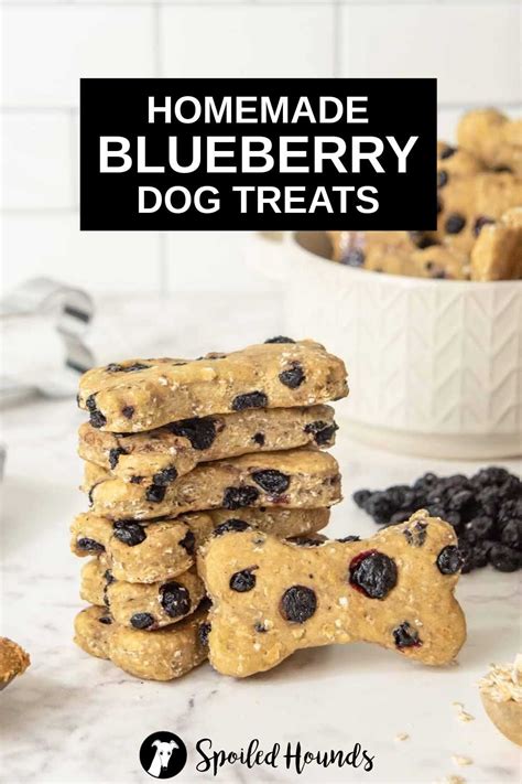 Homemade Blueberry Dog Treats Recipe Spoiled Hounds